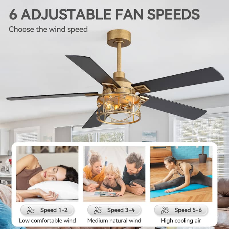 52-inch Reversible 5-Blade Caged Ceiling Fan with Remote and Light Kit