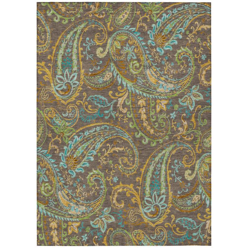 Machine Washable Indoor/ Outdoor Paisley Chantille Rug