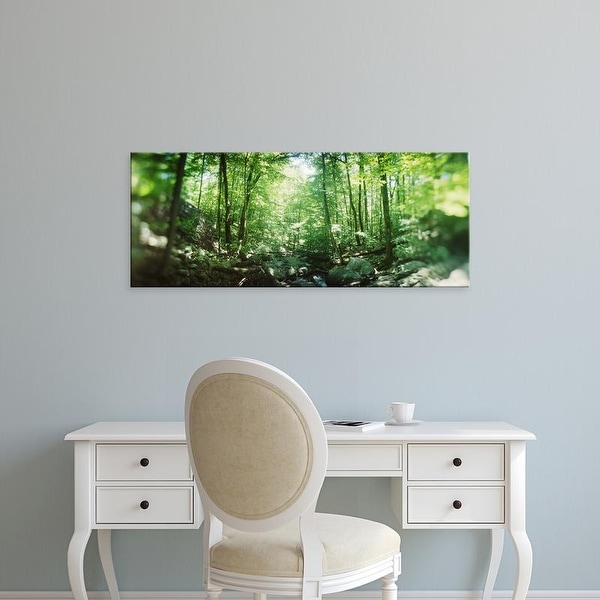 Easy Art Prints Panoramic Images's 'Trees in a forest, Hudson Valley, New Jersey, USA' Premium Canvas Art