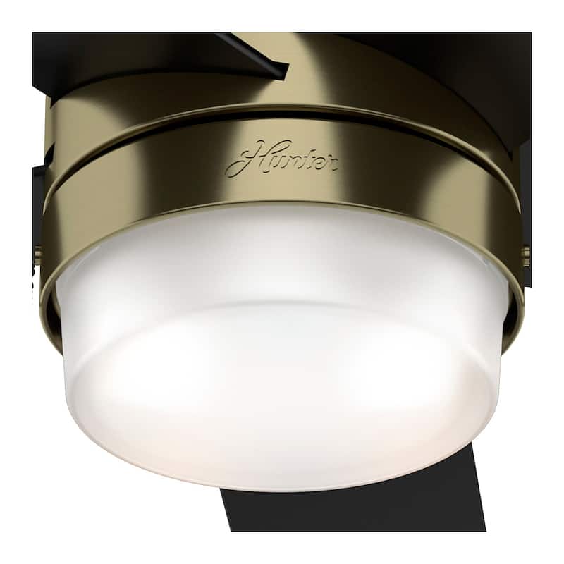 Hunter 52" Claudette Ceiling Fan with LED Light Kit and Pull Chain