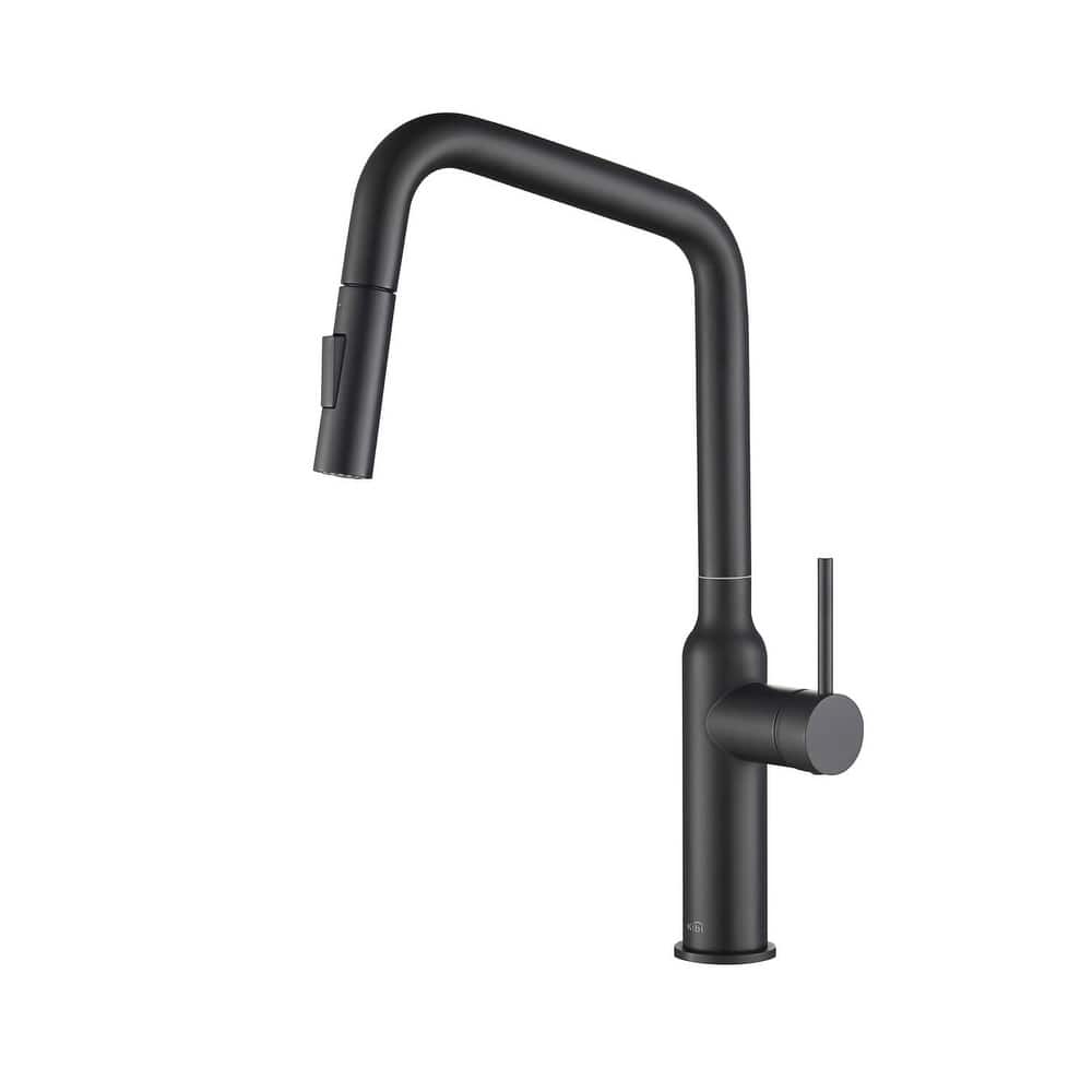 High Arc Single Lever Kitchen Faucet with Pull Down Sprayer