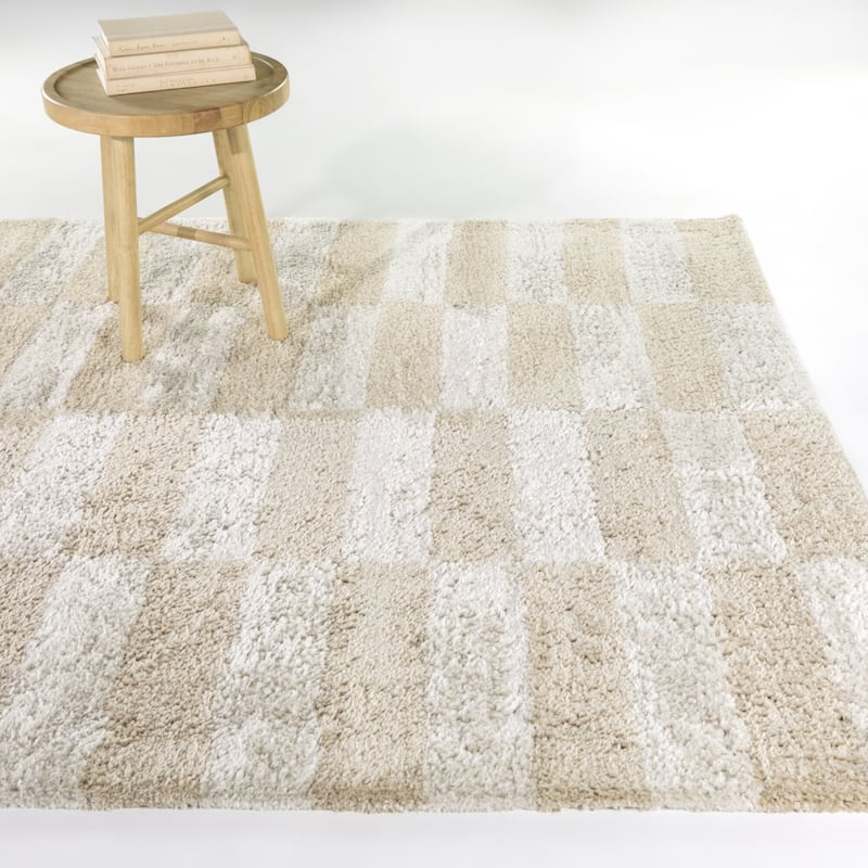 Lionel Checkered Recycled Area Rug