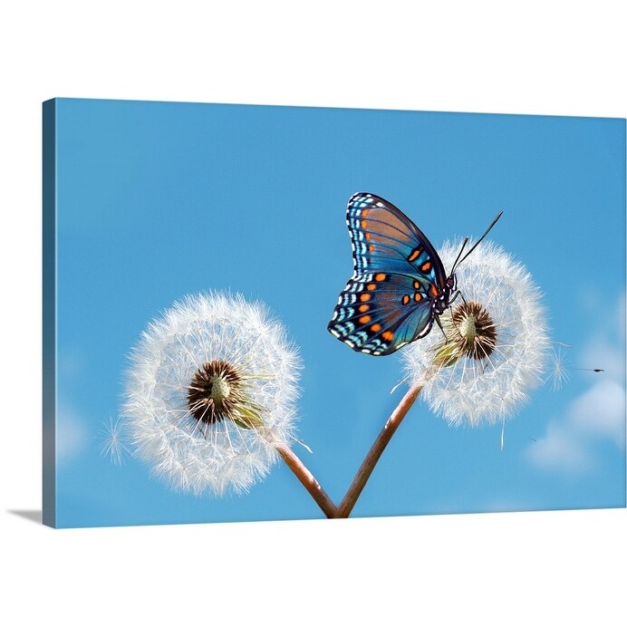 Shop Blue Butterfly On Dandelion Canvas Wall Art Overstock 16449937 Includes Hardware 48 X 32