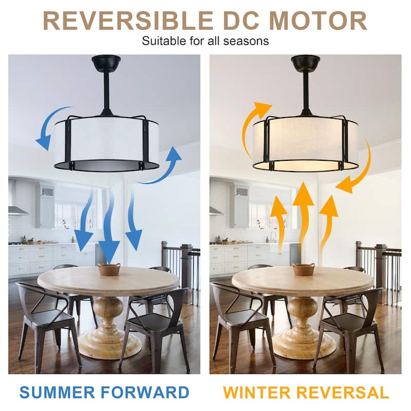 Bella Depot 19" Modern Caged Ceiling Fan with Light Kit and Remote Control 6-Speed Reversible DC Motor - 19”