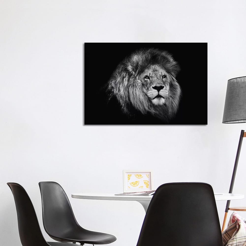 iCanvas "African Lion In Black And White" by David Whelan Canvas Print