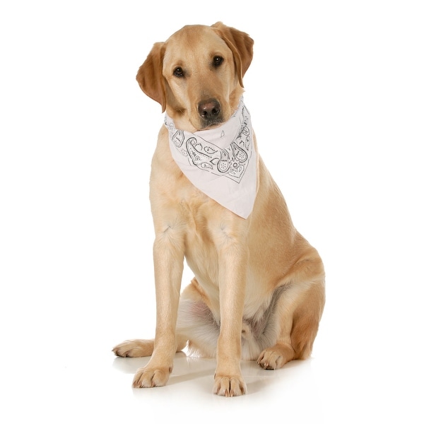 Balec 5-Pack Paisley Cotton Dog Scarf Triangle Bibs - XL & Washable - One Size. Opens flyout.