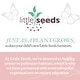 preview thumbnail 7 of 5, Little Seeds Changing Table Topper