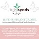 preview thumbnail 18 of 18, Little Seeds Rowan Valley Linden 3-Drawer Changing Table