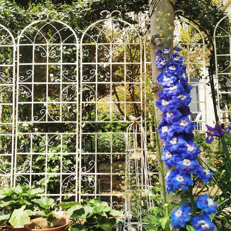 2 Pack Metal Garden Trellis Rustproof Trellis for Climbing Plants Outdoor Flower Support Cream - White