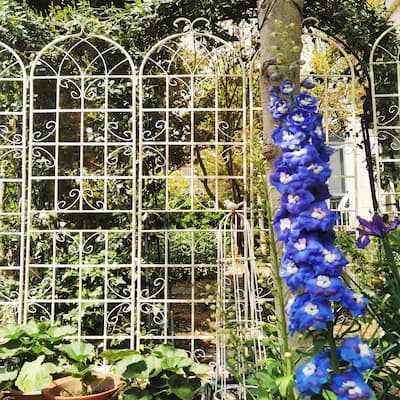 4 Pack Metal Garden Trellis 86.7" x 19.7" Rustproof Trellis for Climbing Plants Outdoor Flower Support Cream