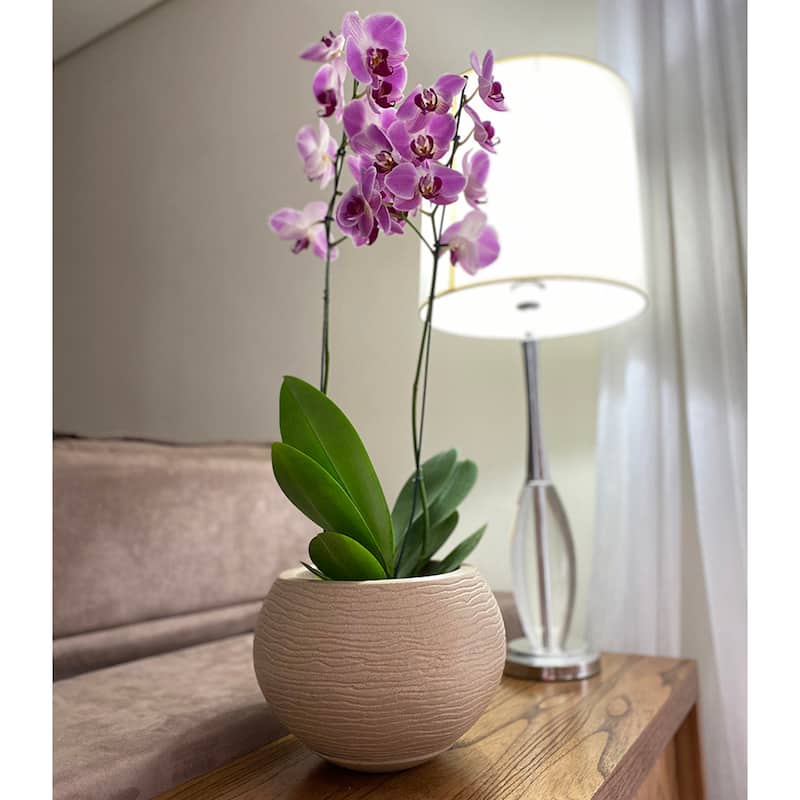 Floridis Florence Planter