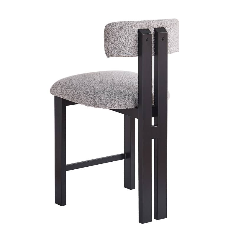 Upholstered Side Chair Dining Chairs (Set of 2)