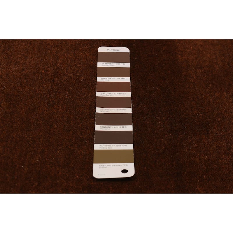 Kashkuli Gabbeh Brown Rug 2'9" x 11'0" - 2'9 x 11'0