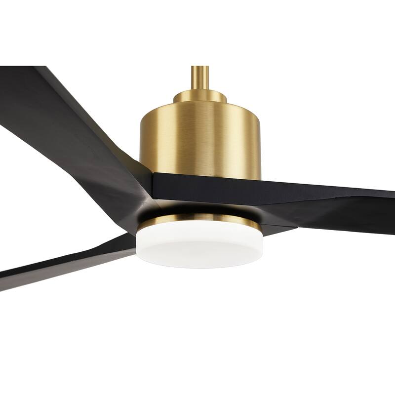 WINGBO 64" DC Motor Indoor Ceiling Fan with LED Light & Remote