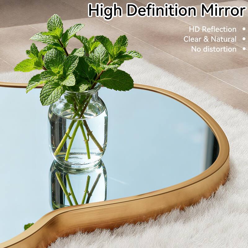 Stylish Aluminum Alloy Framed Irregular Wall Mirror
