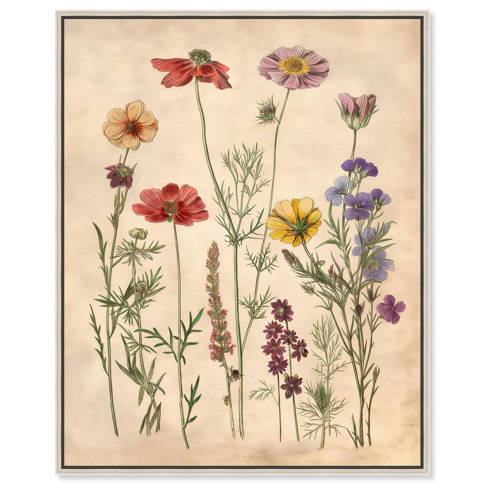 Pollinator Portrait II Canvas by Art Remedy