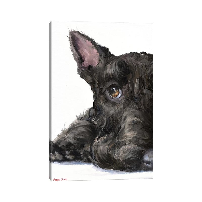 iCanvas "Scottish Terrier" by George Dyachenko Canvas Print