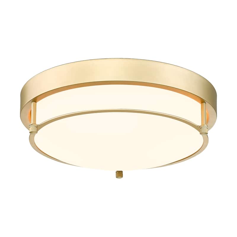 12 Inch 2-Light Flush Mount Light Fixture, Modern Ceiling Light