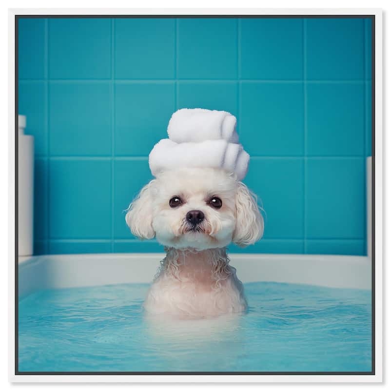 Fluff in the Tub Canvas by Art Remedy - 20" x 20" - White