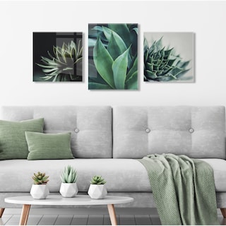 Kate and Laurel Succulent Art by Emiko and Mark Franzen of F2Images