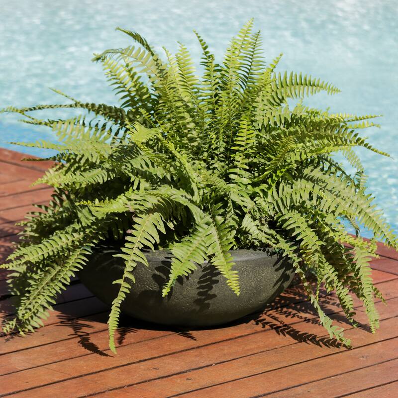 Sunnydaze Percival Outdoor Double-Walled Flower Pot Planter - 20.75" - Sable