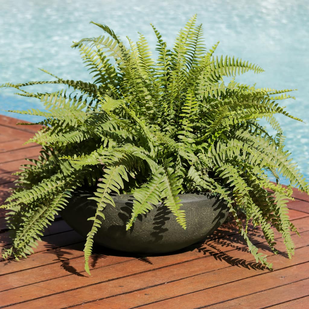 Sunnydaze Percival Polyresin Outdoor Planter Bowl - 20.75" - 2-Pack