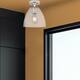 Option Clear Shade / Satin Nickel