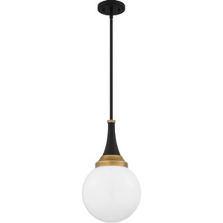 Arlo 1-Light Matte Black Pendant Light