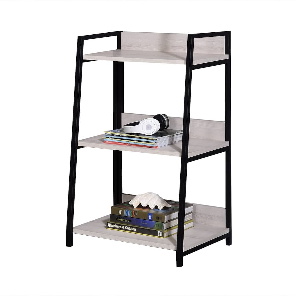 Wendral Bookshelf with Metal Frame