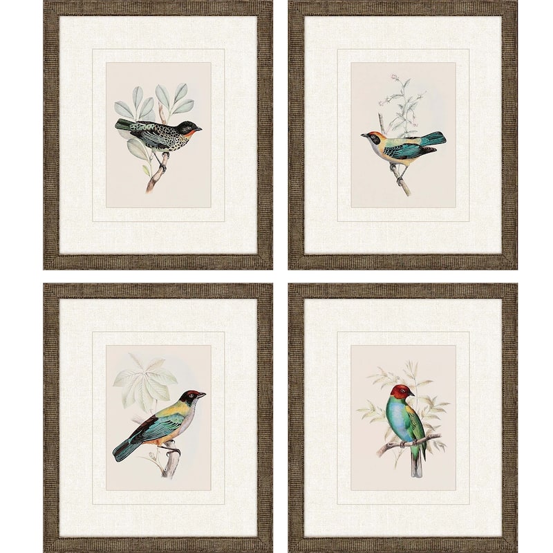 On Perch I S/4 Framed Art Under Glass - Multi-Color - 13 X 11 X 1