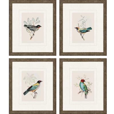 On Perch I S/4 Framed Art Under Glass - Multi-Color