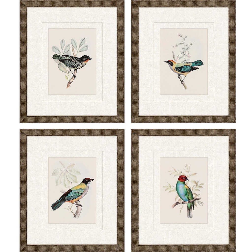 On Perch I S/4 Framed Art Under Glass - Multi-Color