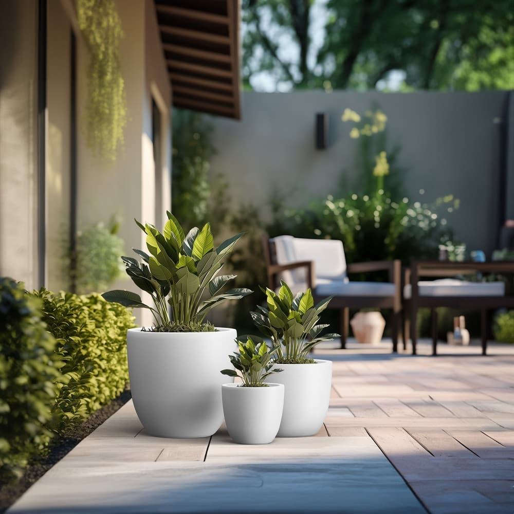 Tall Concrete Round Plant Pots / Large Indoor and Outdoor flower Planters