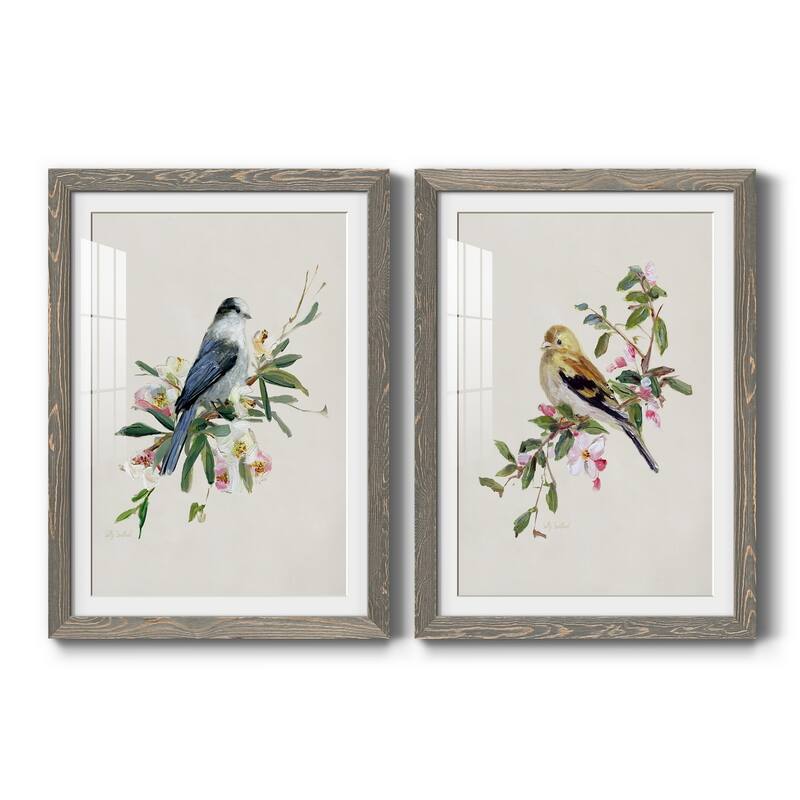 Spring Song Gray Jay-Premium Framed Print - Ready to Hang - 17X20 - Grey