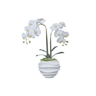 23 In Faux White Orchid Flower Arrangement by Fiori Sempre - Green