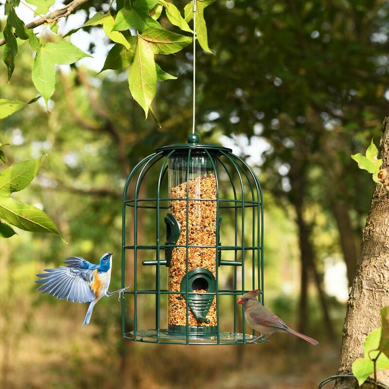 Squirrel-Proof Bird Feeder with Sturdy Iron Cage and Multiple Feeding Ports for Small Birds - 7'' x 7'' x 10'' (L x W x H)