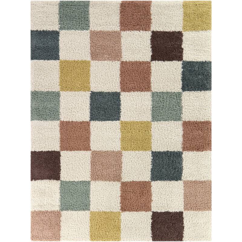 Cavalcanti Checkered Shag Area Rug