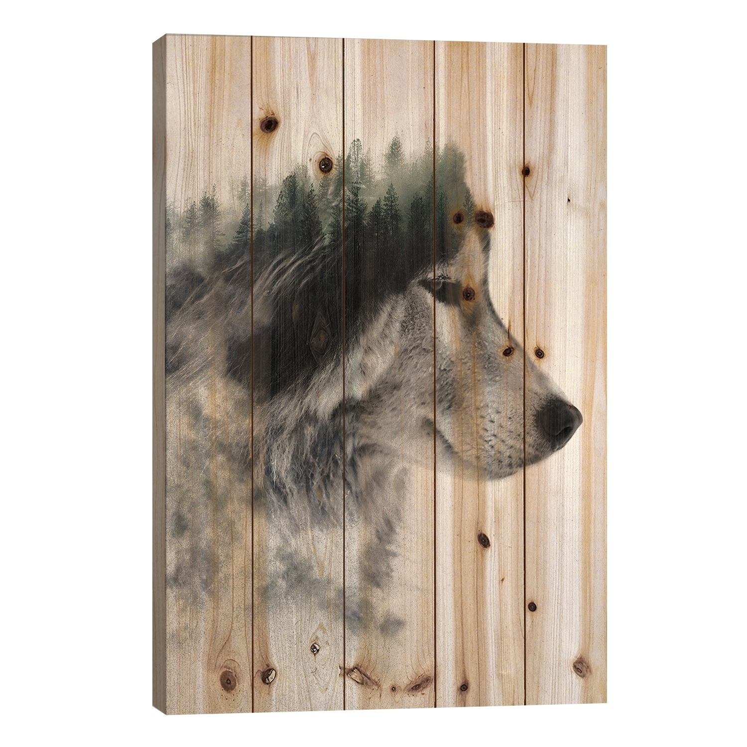 Wolf Stare Print On Wood by Andreas Lie - Multi-Color