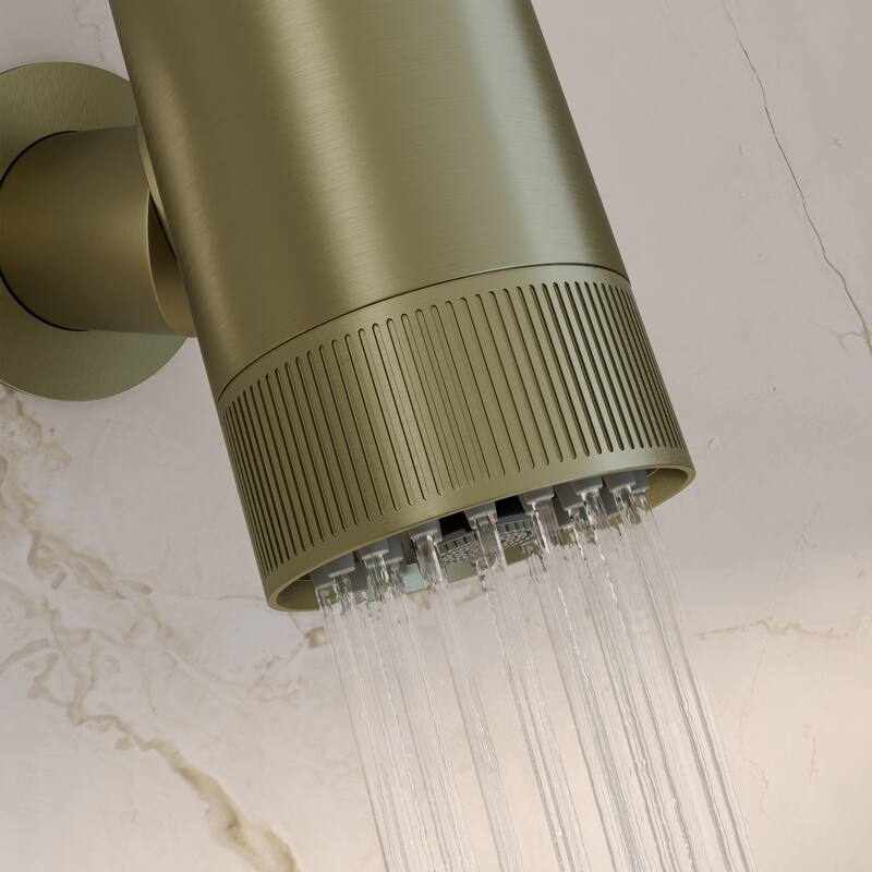 Lumiere 2-Spray Patterns 2.5 Gpm Wall Mount Fixed Shower Head In Brushed Gold