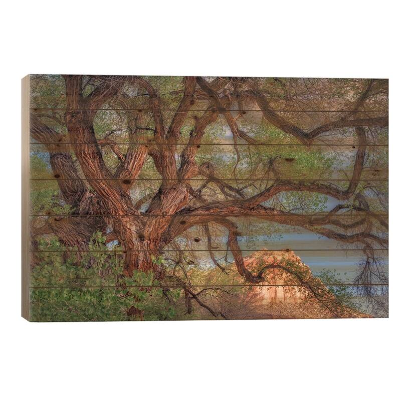Wild Branching Tree Print On Wood by Dennis Frates - Multi-Color - 18x26x1.5