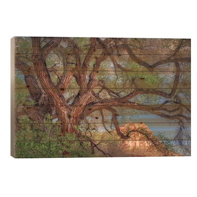 Wild Branching Tree Print On Wood by Dennis Frates - Multi-Color