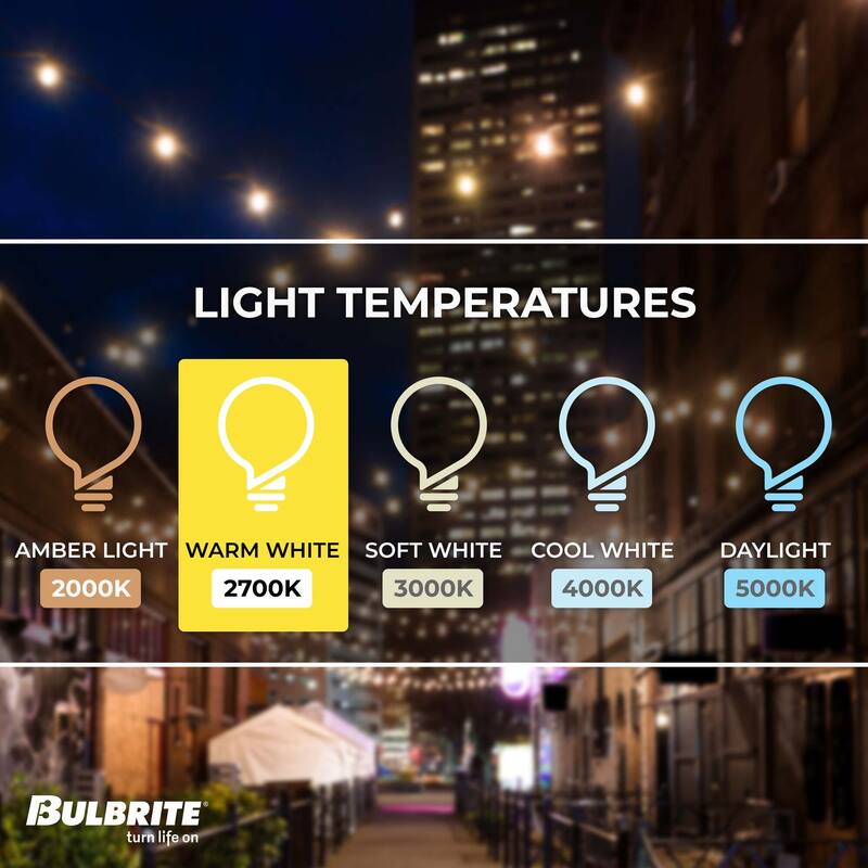Bulbrite 48 ft Indoor/Outdoor 15-Socket (E26) Decorative String Light Kit, Black