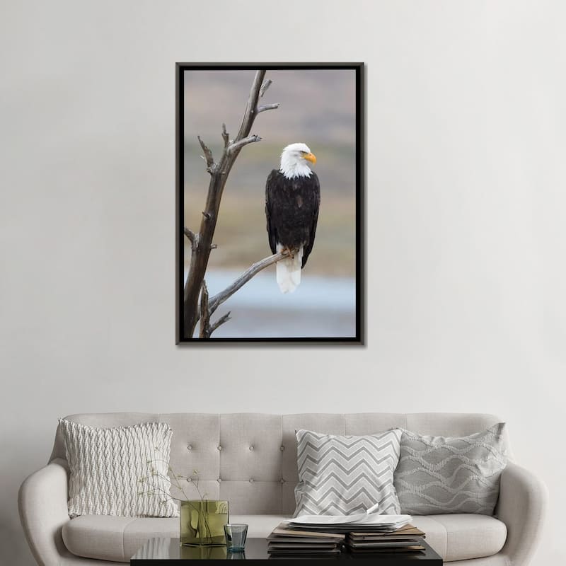 iCanvas "USA, Wyoming, Sublette County. Adult Bald Eagle sitting on a snag above Soda Lake." by Elizabeth Boehm Framed