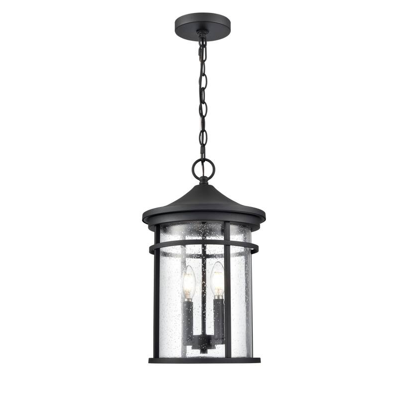Millennium Lighting 91342 Namath 2 Light 11" Wide Outdoor Pendant