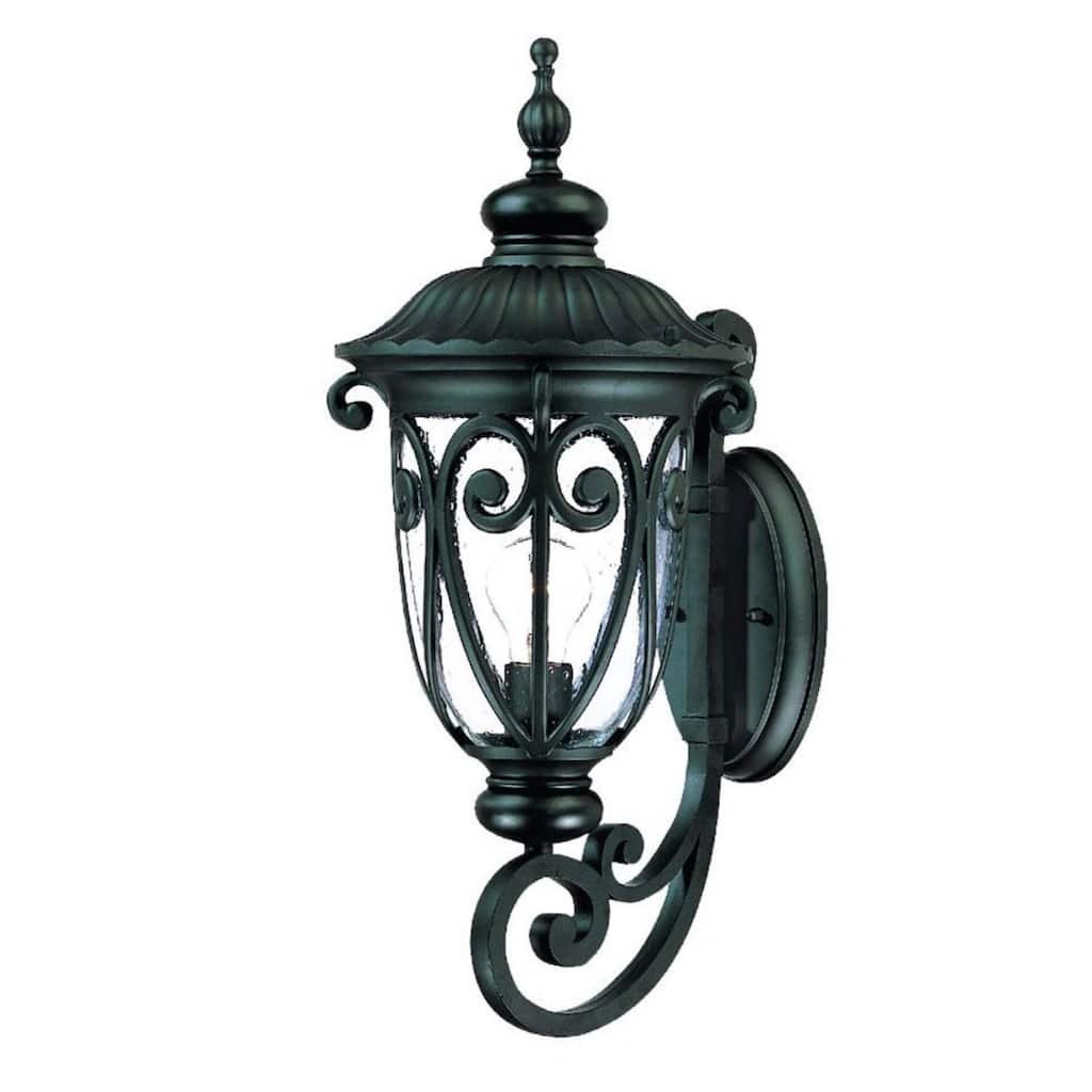 Outdoor Wall Light Fixture with Clear Seeded Glass Shade Hardwired Aluminum Sconce A19 Bulb Compatible - 22.75" H x 9.38" W