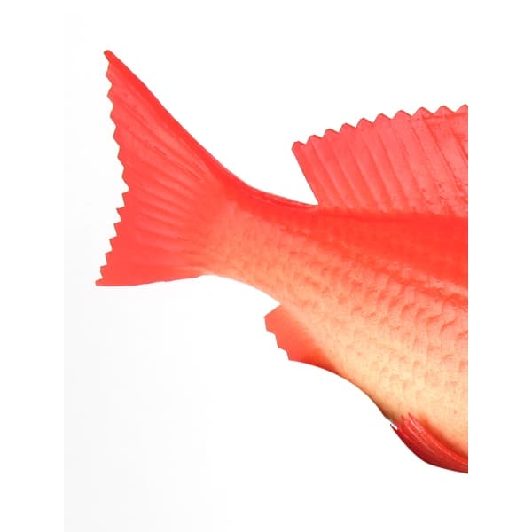 Aquarium Fish Tank Decor Artificial Simulation Foam Goldfish Ornament - Red,White - 8.7 x 3.3 x 1.6 (L*W*H)