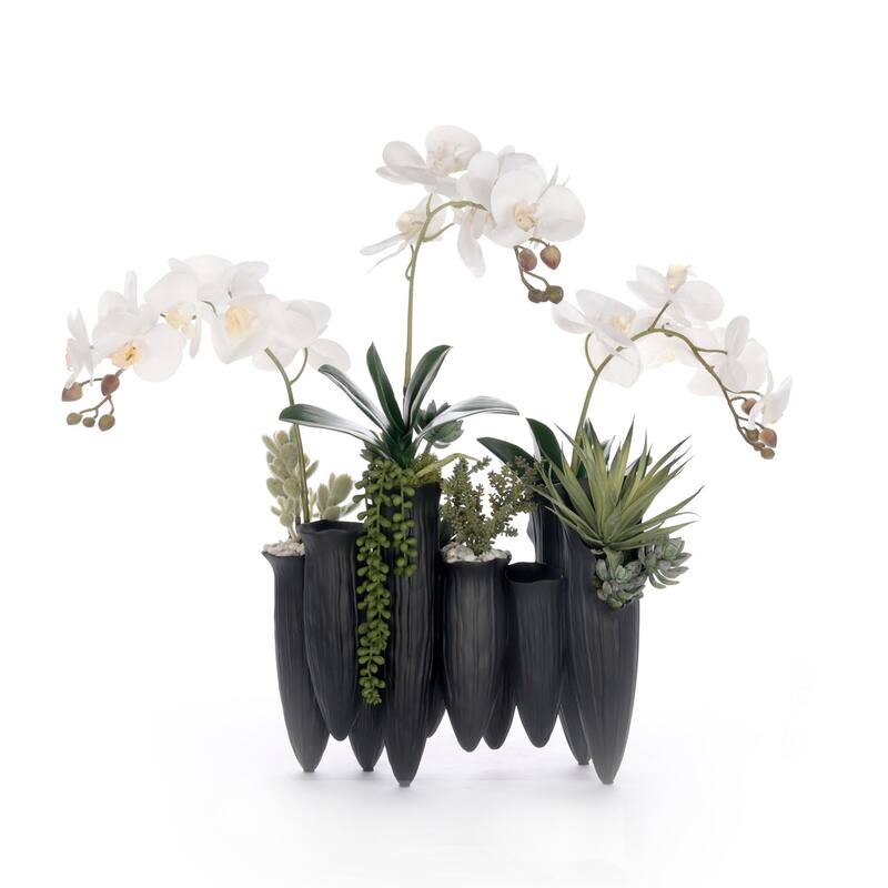 Real Touch White Orchid Succulent Floral in Black Pot