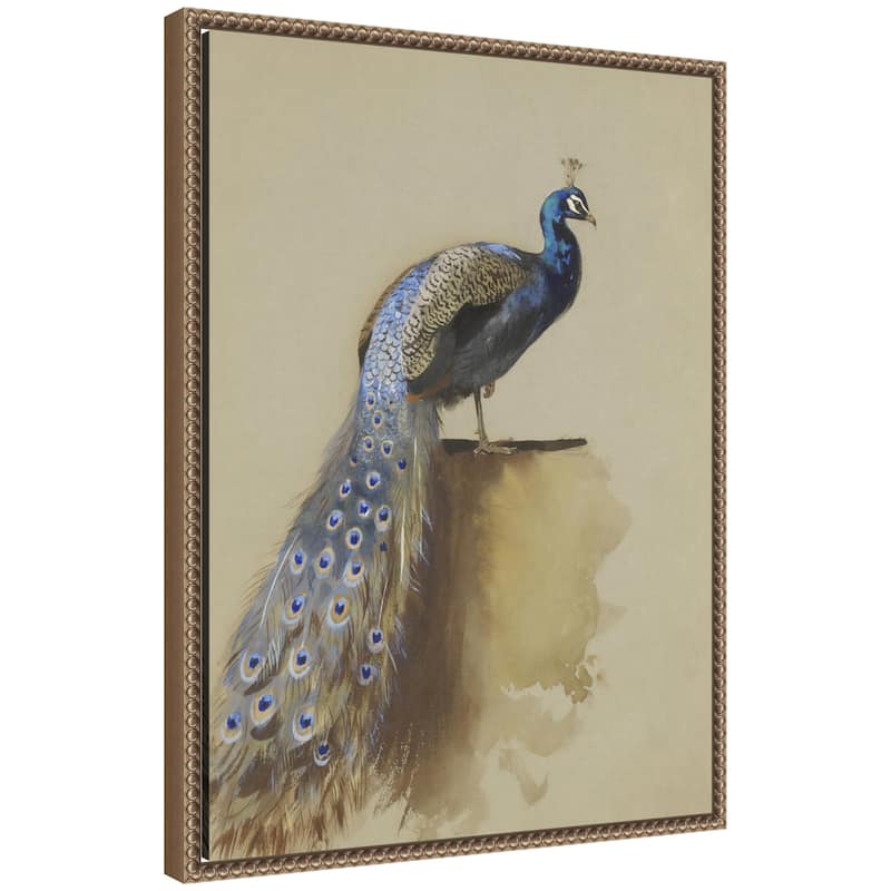 Kate and Laurel Peacock no date Archibald Thorburn by Nostalgia Prints Framed Canvas Wall Art Print - 18x24