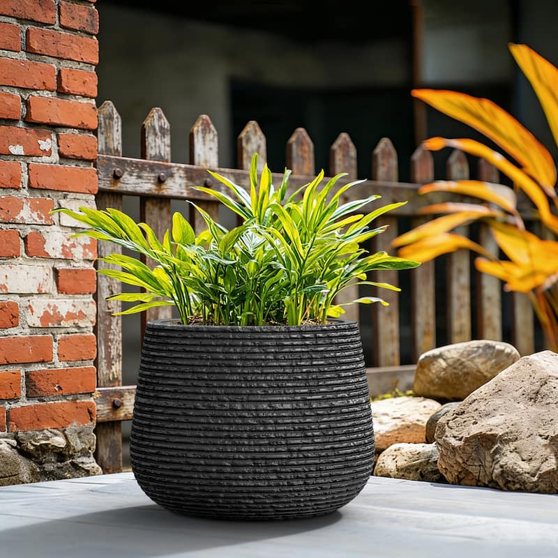 Upgraded Interior Concrete Round Planter with Draiange Holes