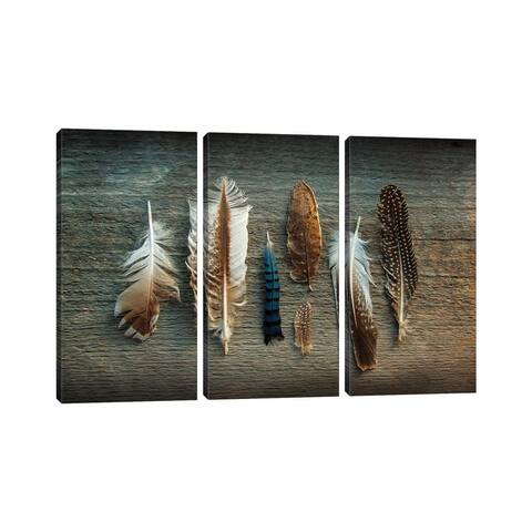 iCanvas "Feather Collection I" by Sue Schlabach 3-Piece Canvas Wall Art Set